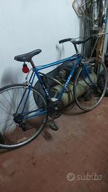 atala da corsa vintage 
