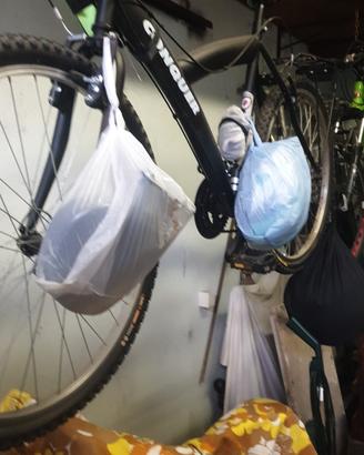 Bici Donna