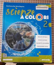 scuola media 