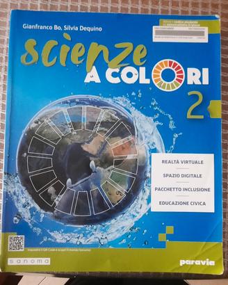 scuola media 