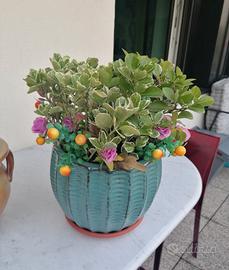 vaso smaltato con pianta