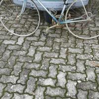 bicicletta da corsa 