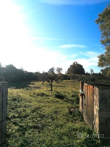 Alghero TERRENO AGRICOLO PIANEGGIANTE