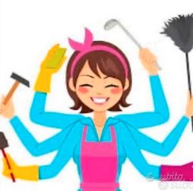 Collaboratrice domestica Colf Governante