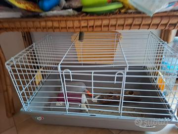 gabbia per coniglio