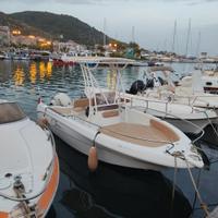 Barca Saver 550