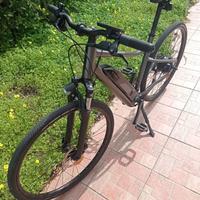 Bicicletta elettrica