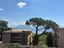 Immagine 15