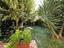 Immagine 11