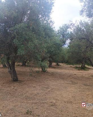 Gualtieri, terreno con casolare rurale