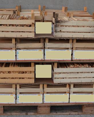 Legnetti accendifuoco