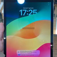 Apple iPad 9 silver 256 GB - 7910