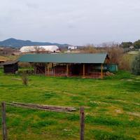 Capannone smontabile 35X15