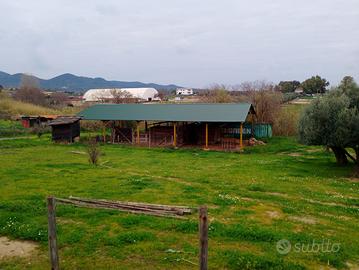 Capannone smontabile 35X15