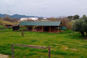 Capannone smontabile 35X15