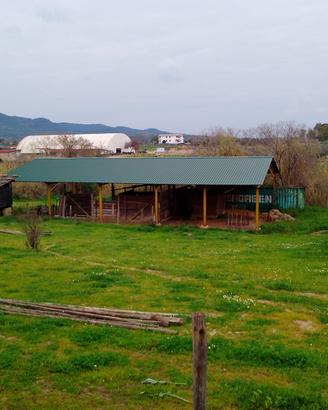 Capannone smontabile 35X15