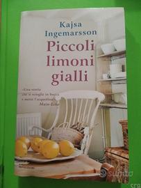Piccoli limoni gialli romanzo 