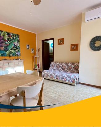 San Vincenzo - 9-16 e 16-23 agosto
