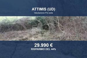 Immobile in asta di 214058 m² a Attimis