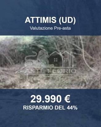 Immobile in asta di 214058 m² a Attimis