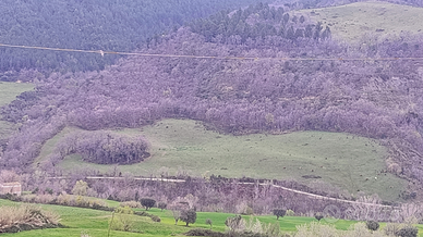 Tenuta agro-forestale in posizione panoramica