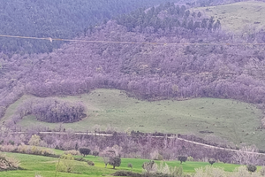 Tenuta agro-forestale in posizione panoramica
