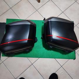 Bauletti laterali per ninja 1000 sx 2024