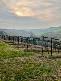 Locale Centro Barzio