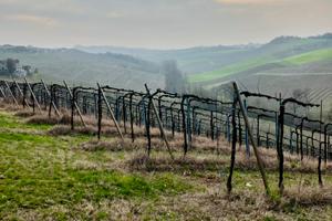 Locale Centro Barzio