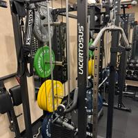 Palestra home gym lacertosus