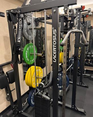 Palestra home gym lacertosus