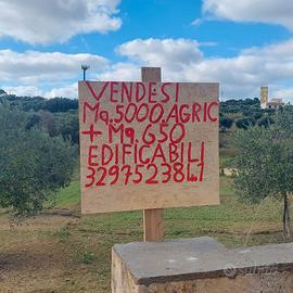 Terreno Agricolo + Edificabile 5700mq