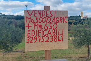 Terreno Agricolo + Edificabile 5700mq