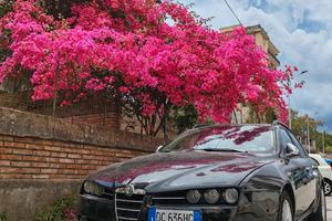Alfa romeo 159 sw 1.9 jtdm 16 valvole 150 cv