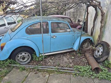  volkswagen maggioloni 