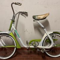 Atala rizzato 2000