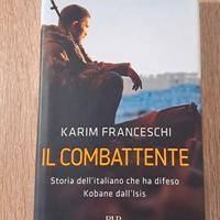 Il combattente