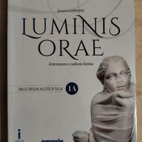 Luminis Orae 1