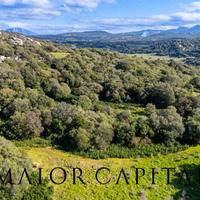 Terreno Agricolo - Arzachena
