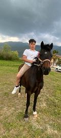 Pony