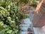 Immagine 23