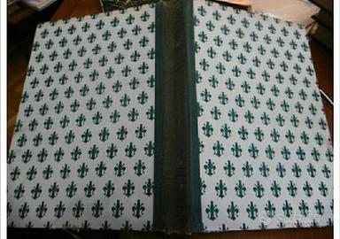 libro il Decameron di Boccaccio 