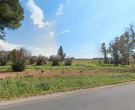 Terreno 3,7 ha - Cisterna Di Latina (LT) | TR344