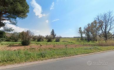 Terreno 3,7 ha - Cisterna Di Latina (LT) | TR344