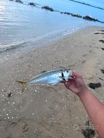 pesce fresco pescato