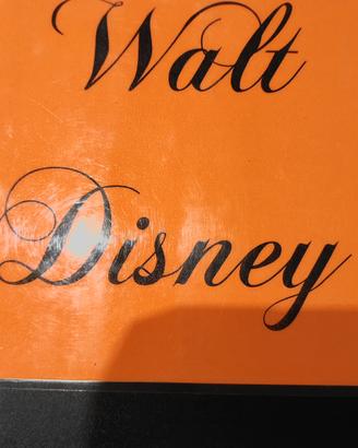 DVD Walt Disney