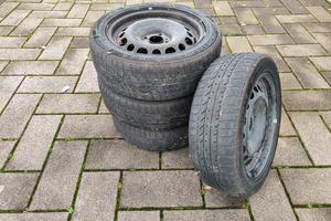 Cerchioni Citroen Peugeot DS in ferro 195/55R16