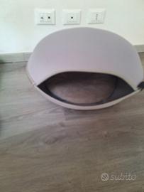 cuccia per gatti