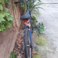 Due biciclette