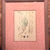 Quadro